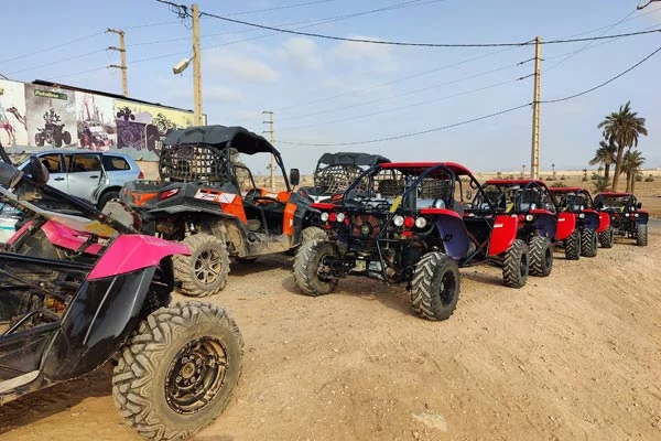 Buggy Palmeraie